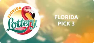 3D FLORIDA